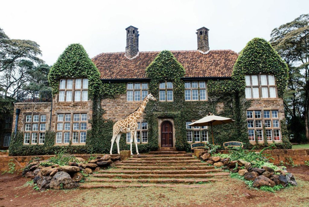 10 Best Countries for African Safari