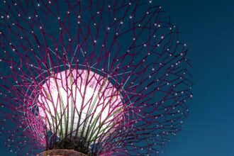 10 Best Things to Do in Singapore