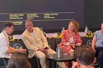 Streamers are "heavy" to pay one and two license fees, Locarno think tank hears