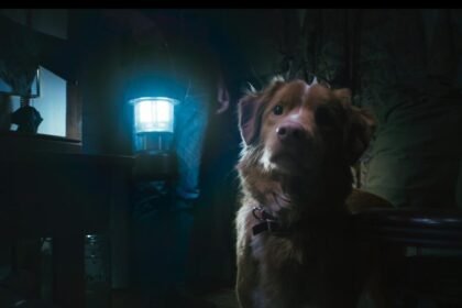 UK - Good Boy, a ghost dog horror acquired for Irish theatrical release