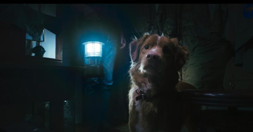UK - Good Boy, a ghost dog horror acquired for Irish theatrical release