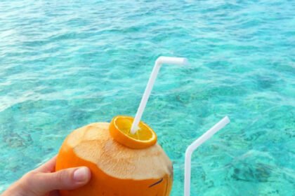29 Things to Do in the Maldives