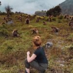 Simien Mountains guide