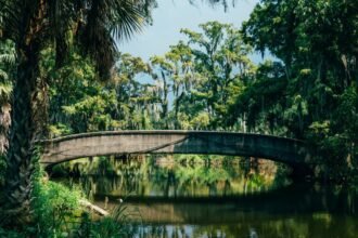The Amtrak Mardi Gras train is back: New Orleans to the Gulf Coast from New Orleans
