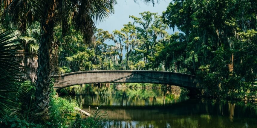The Amtrak Mardi Gras train is back: New Orleans to the Gulf Coast from New Orleans
