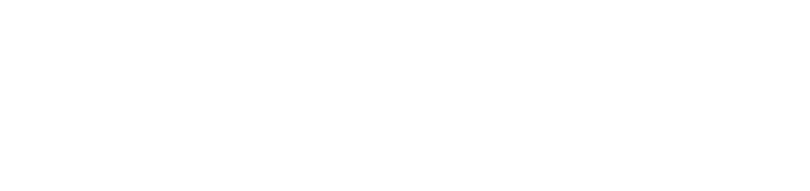tecfs
